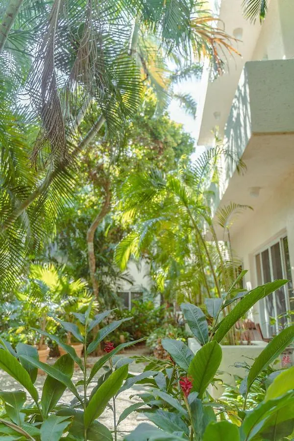 Spectacular Ph In Playacar - Private Rooftop, Pool By Yeah Playa del Carmen 0*,  Mexico