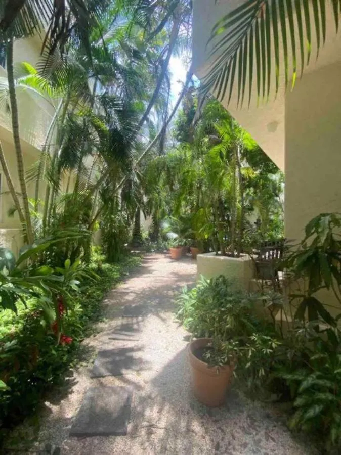Apartment Spectacular Ph In Playacar - Private Rooftop, Pool By Yeah Playa del Carmen